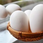 Trứng Ngỗng giá bao nhiêu 2022? Có tác dụng gì? Kỵ gì?